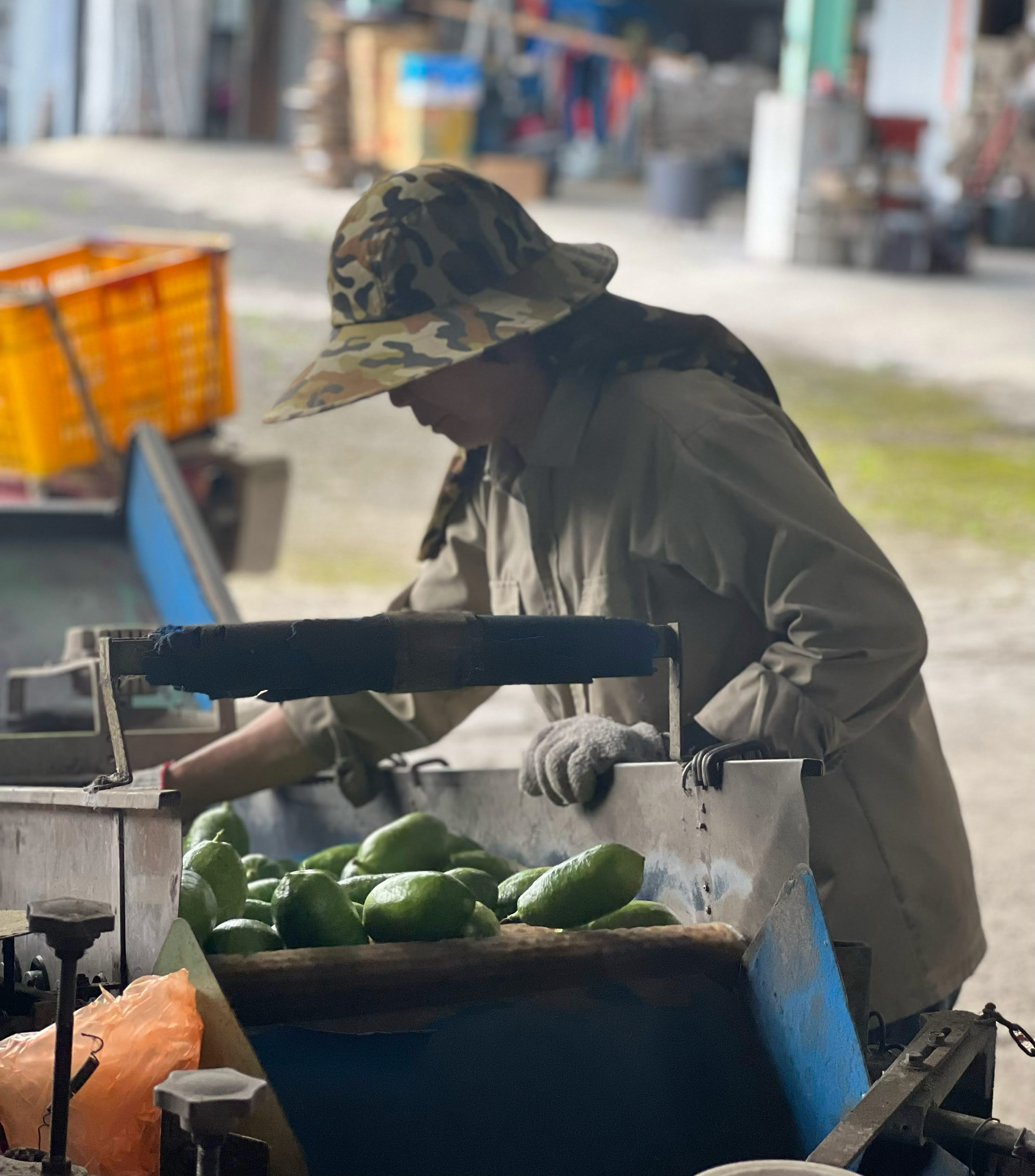 申時七茶 ESG 永續實踐