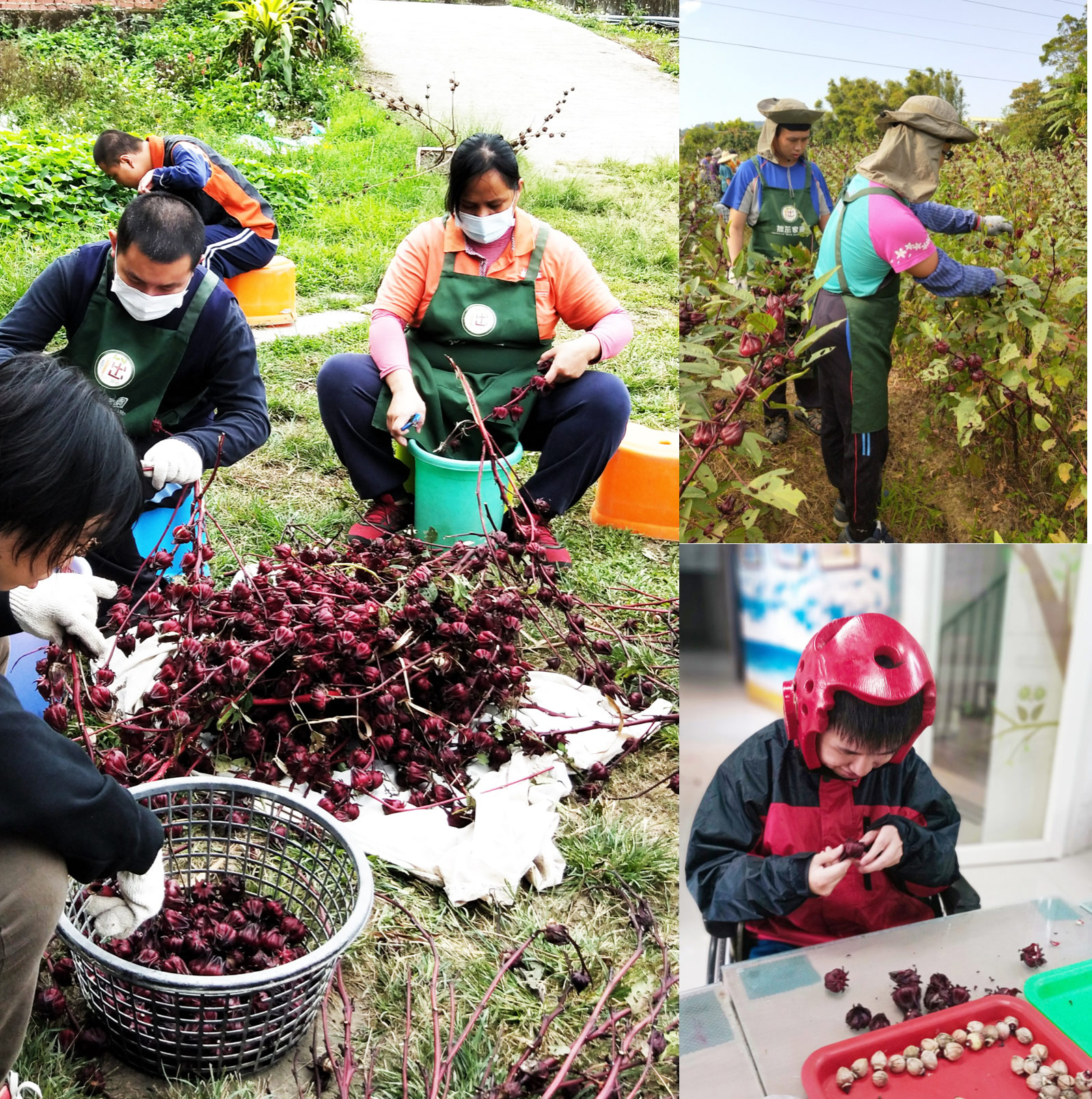 申時七茶 ESG 永續實踐