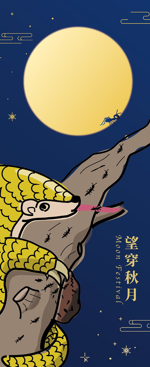 望穿秋月 中秋穿山甲禮盒