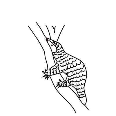 穿山甲