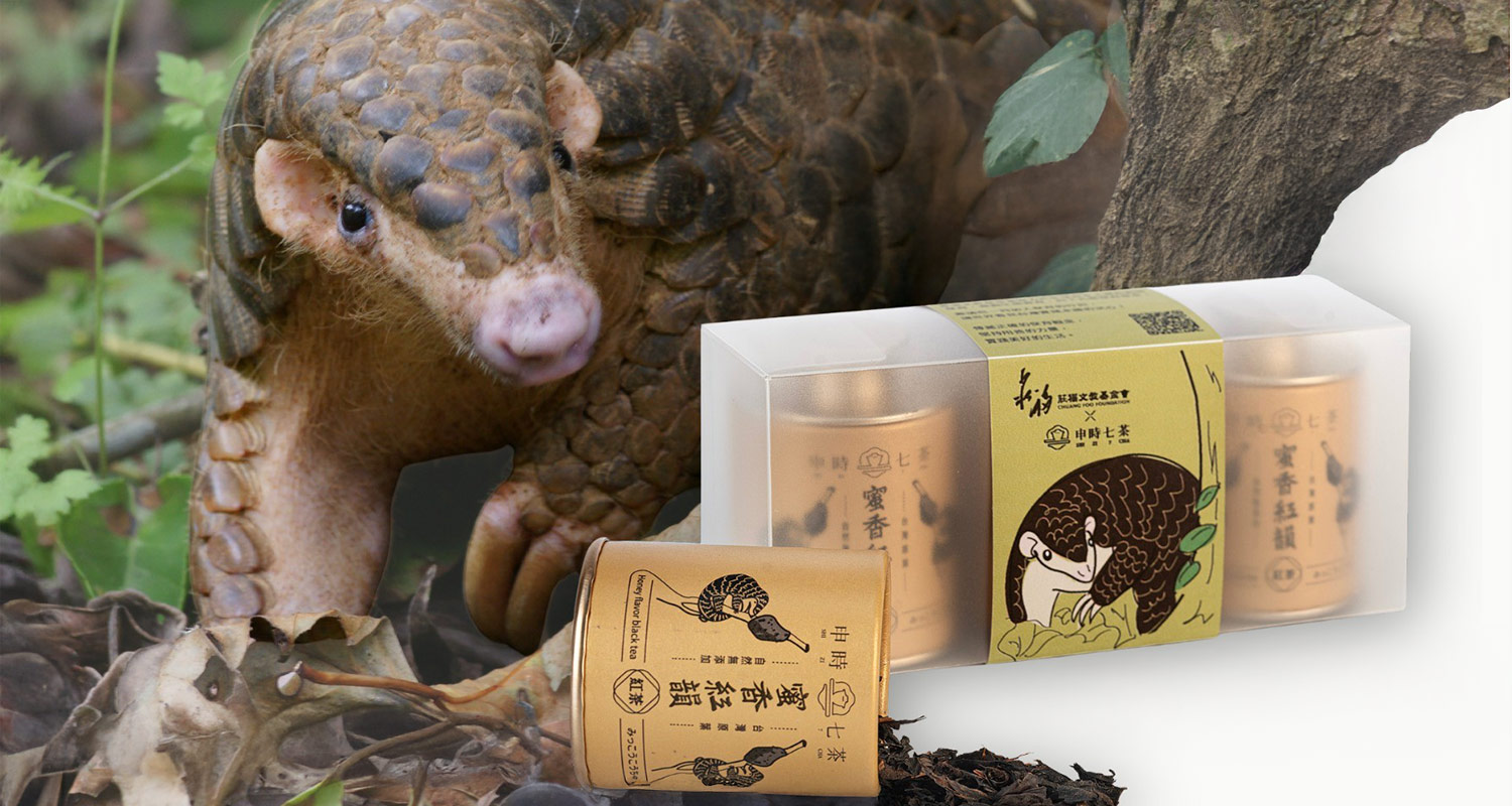 ESG禮盒客製化－申時七茶